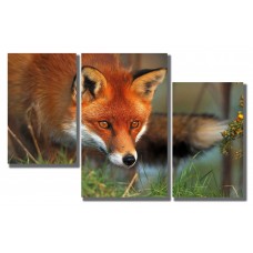 Модульная картина Взгляд лисы, 90х70 см.