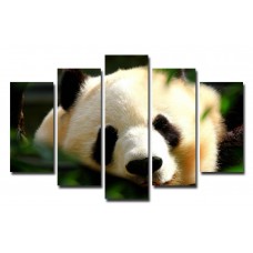 Модульная картина Взрослая панда, 135х80 см.