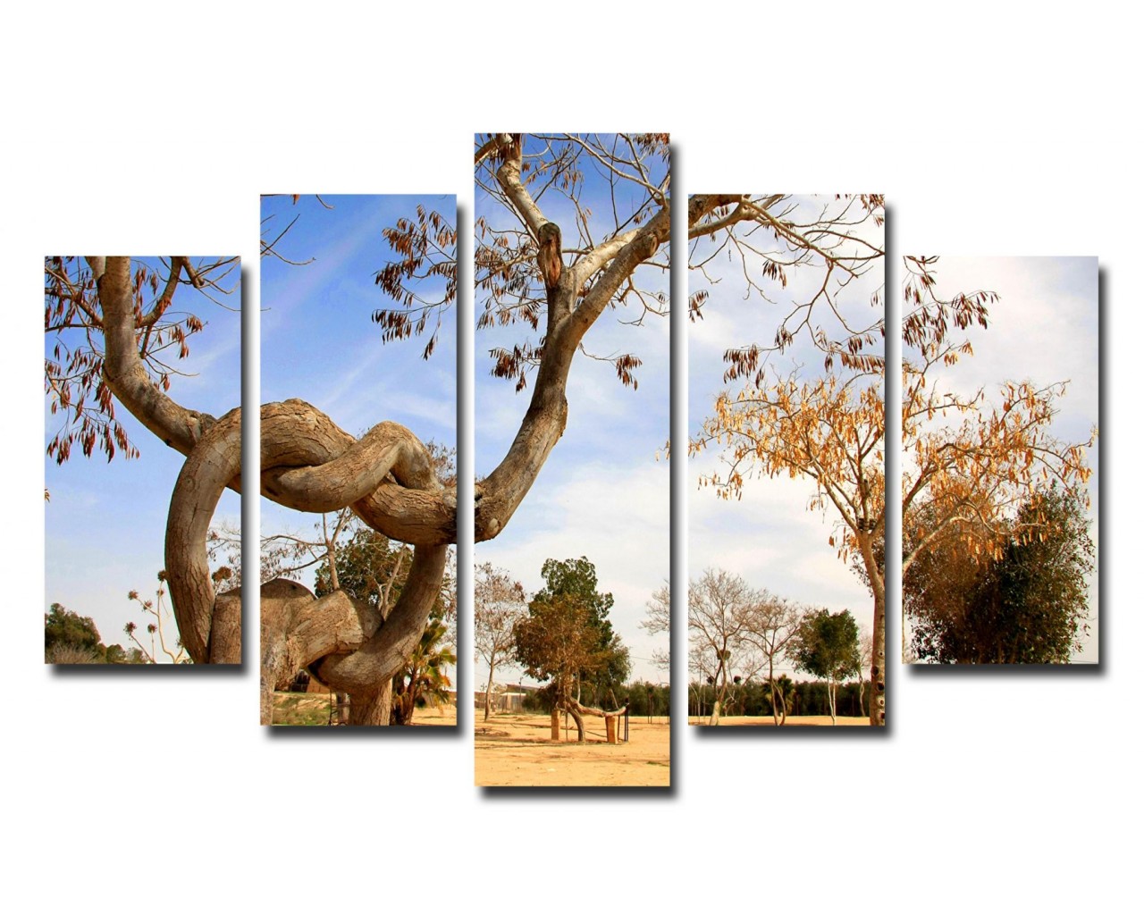 Модульная картина Сплетенные деревья, 135х80 см.