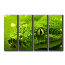 Модульные картина Желтые глаза на зеленом