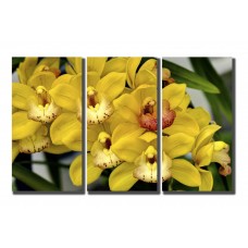 Модульная картина Желтые орхидеи, 90x60 см.