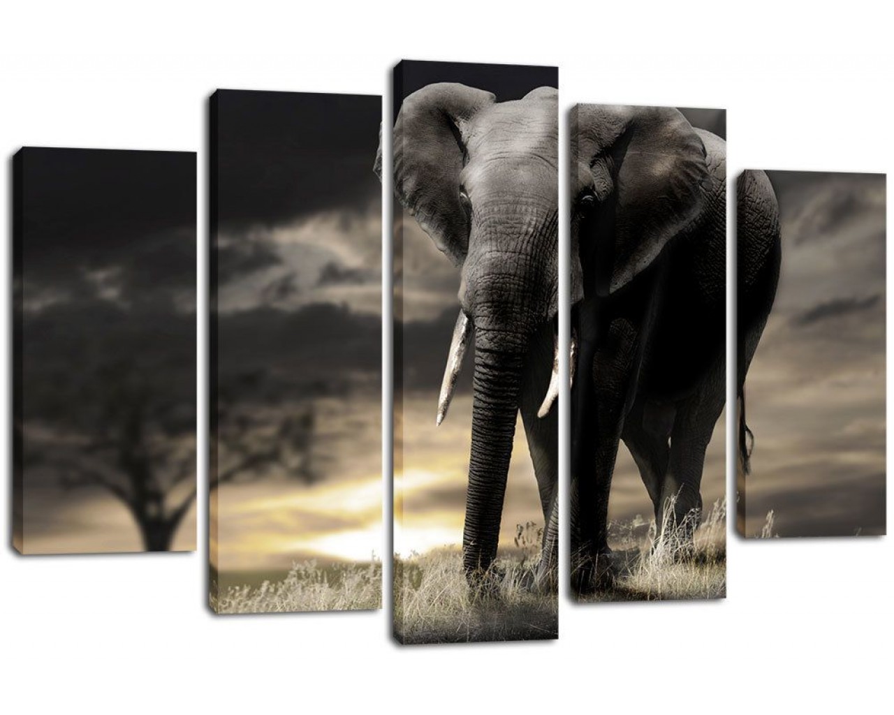 Модульная картина Слон, 135х80 см.