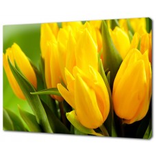 Картина на холсте Желтые тюльпаны
