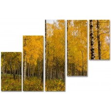 Модульная картина Осенние березы, 125х80 см.