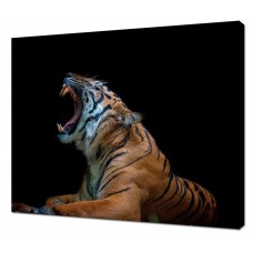 Картина на холсте Рев тигра