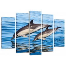 Модульная картина Дельфины, 135х80 см.