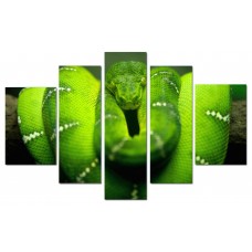 Модульная картина Зеленая змея, 80х50 см.