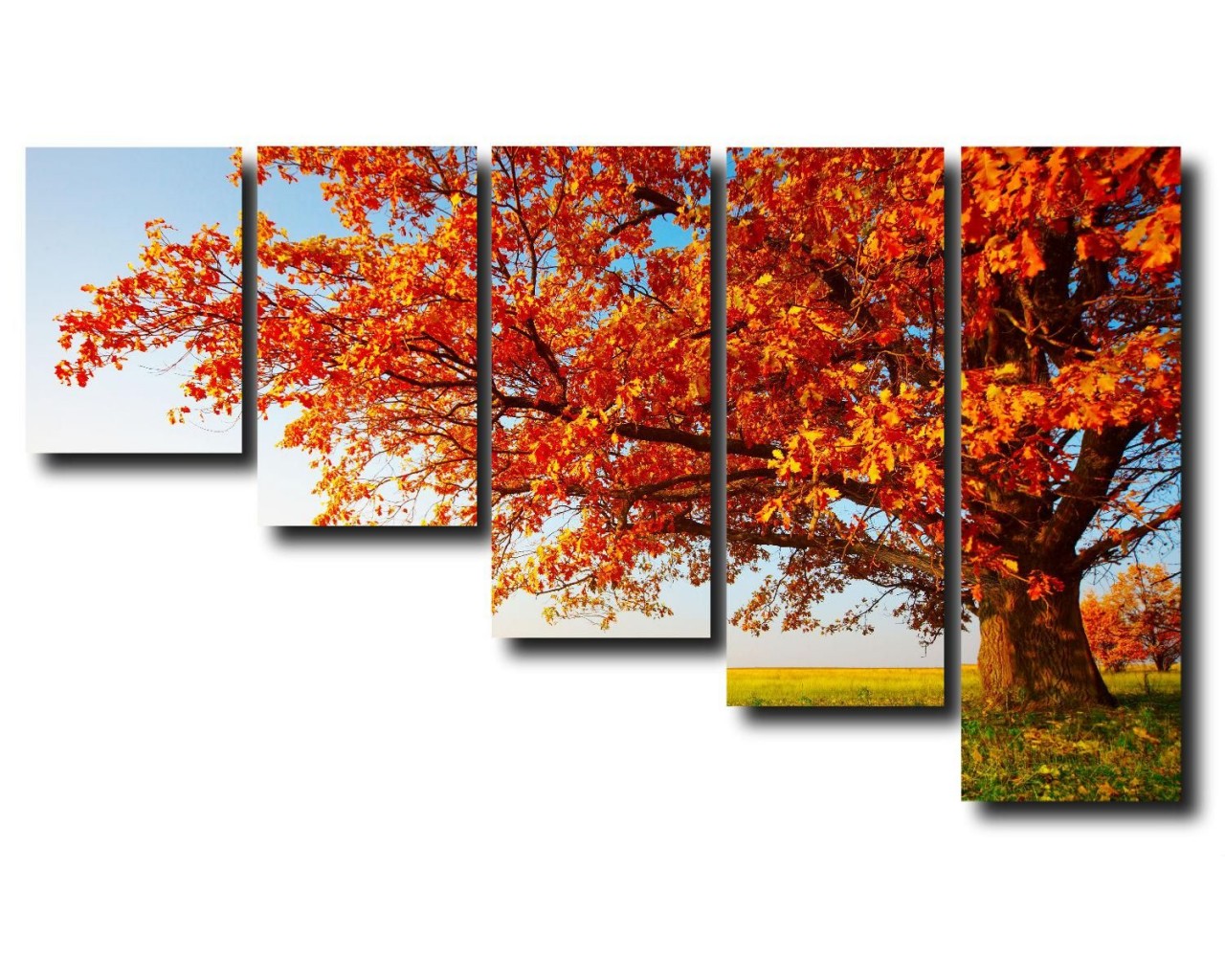 Модульная картина Солнечная осень, 113х90 см.