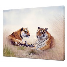 Картина на холсте Два тигра