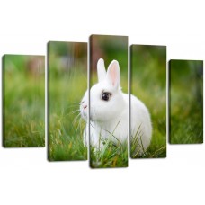Модульная картина Белый кролик, 135х80 см.