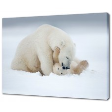 Картина на холсте Белые медведи