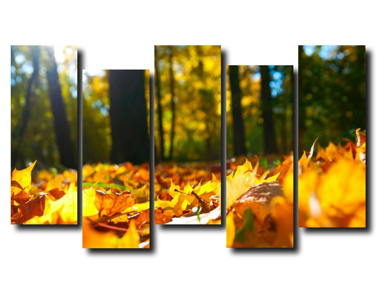 Модульная картина Природа. Опавшая листва, 150x75 см.