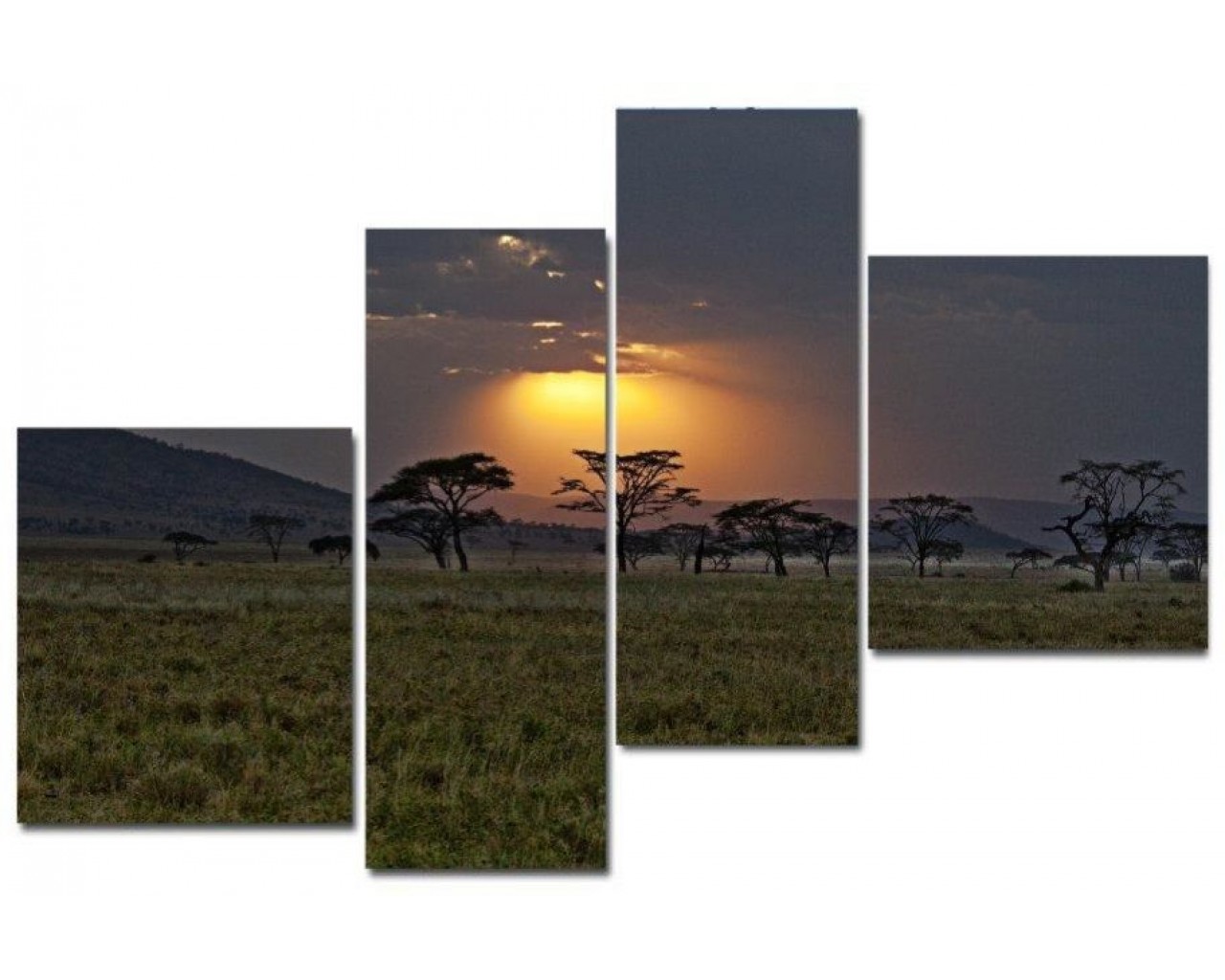 Модульная картина Африка, 90х50 см.