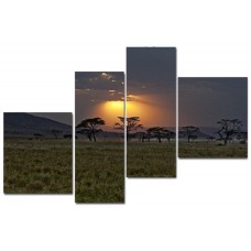 Модульная картина Африка, 90х50 см.