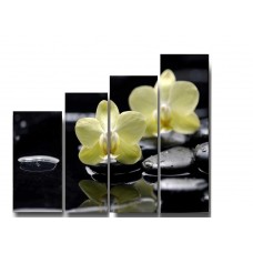 Модульная картина Орхидея на камнях, 108x95 см.