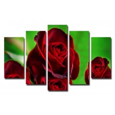 Модульная картина Красная роза, 135х80 см.