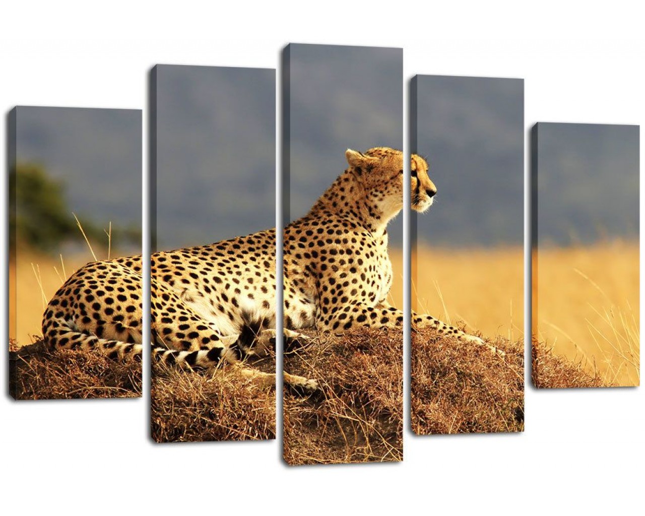 Модульная картина Леопард, 135х80 см.