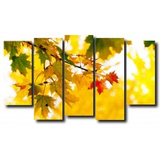 Модульная картина Природа. Осень. Кленовые листья, 150x 90 см.
