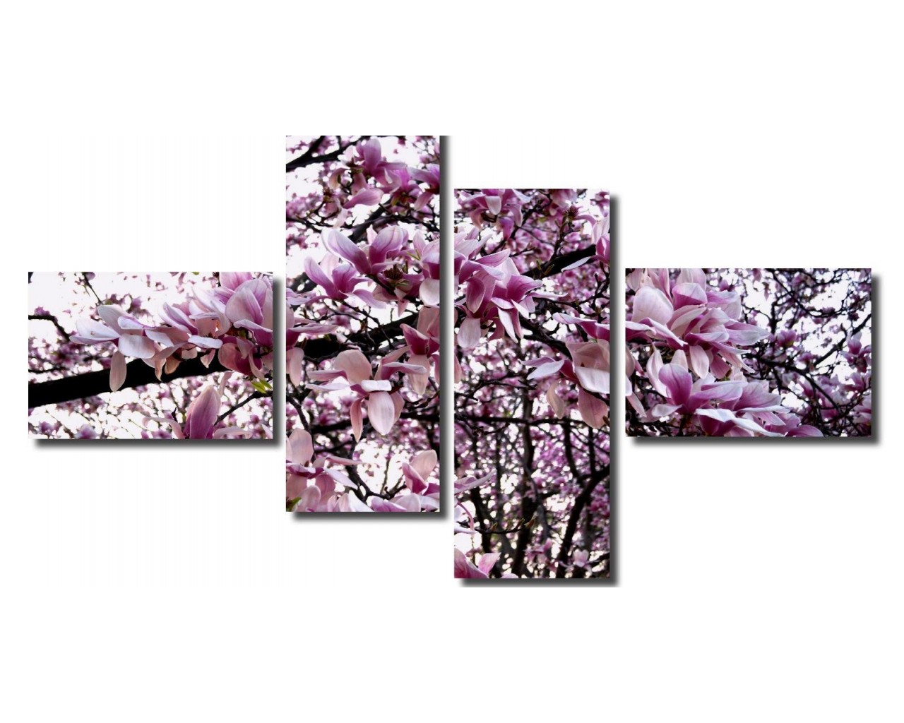 Модульная картина Розовое цветение, 106х86 см.