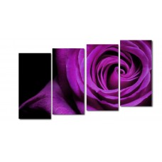 Модульная картина Фиолетовая роза, 100x50 см.