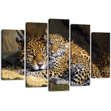 Модульная картина Леопарды, 135х80 см.