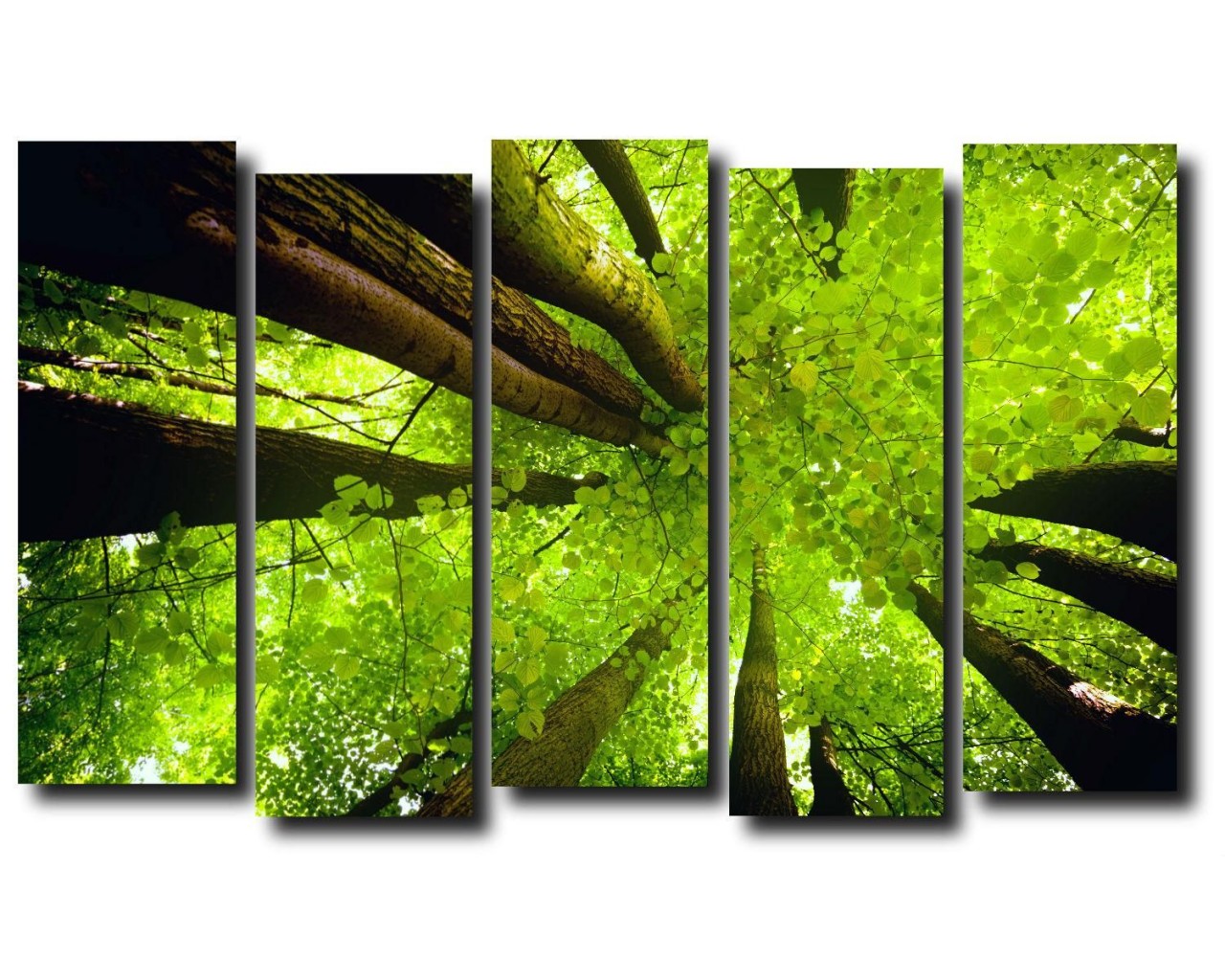 Модульная картина Летний лес, 100х65 см.